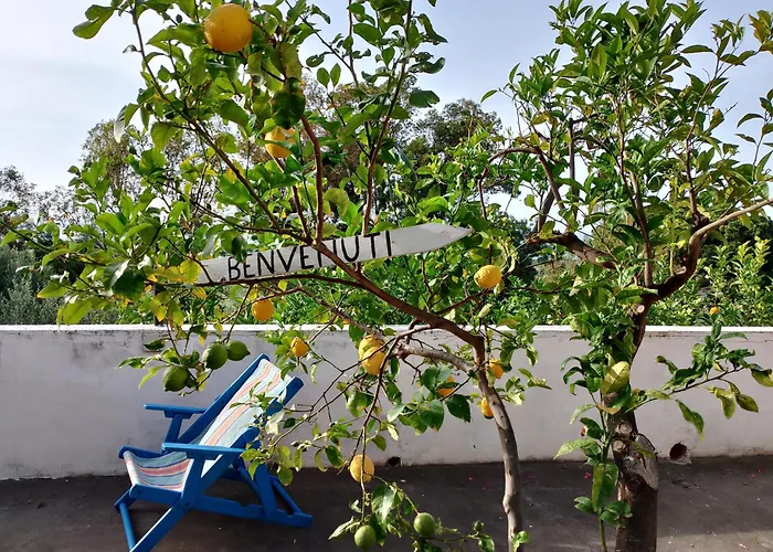 Nuovo Aliru