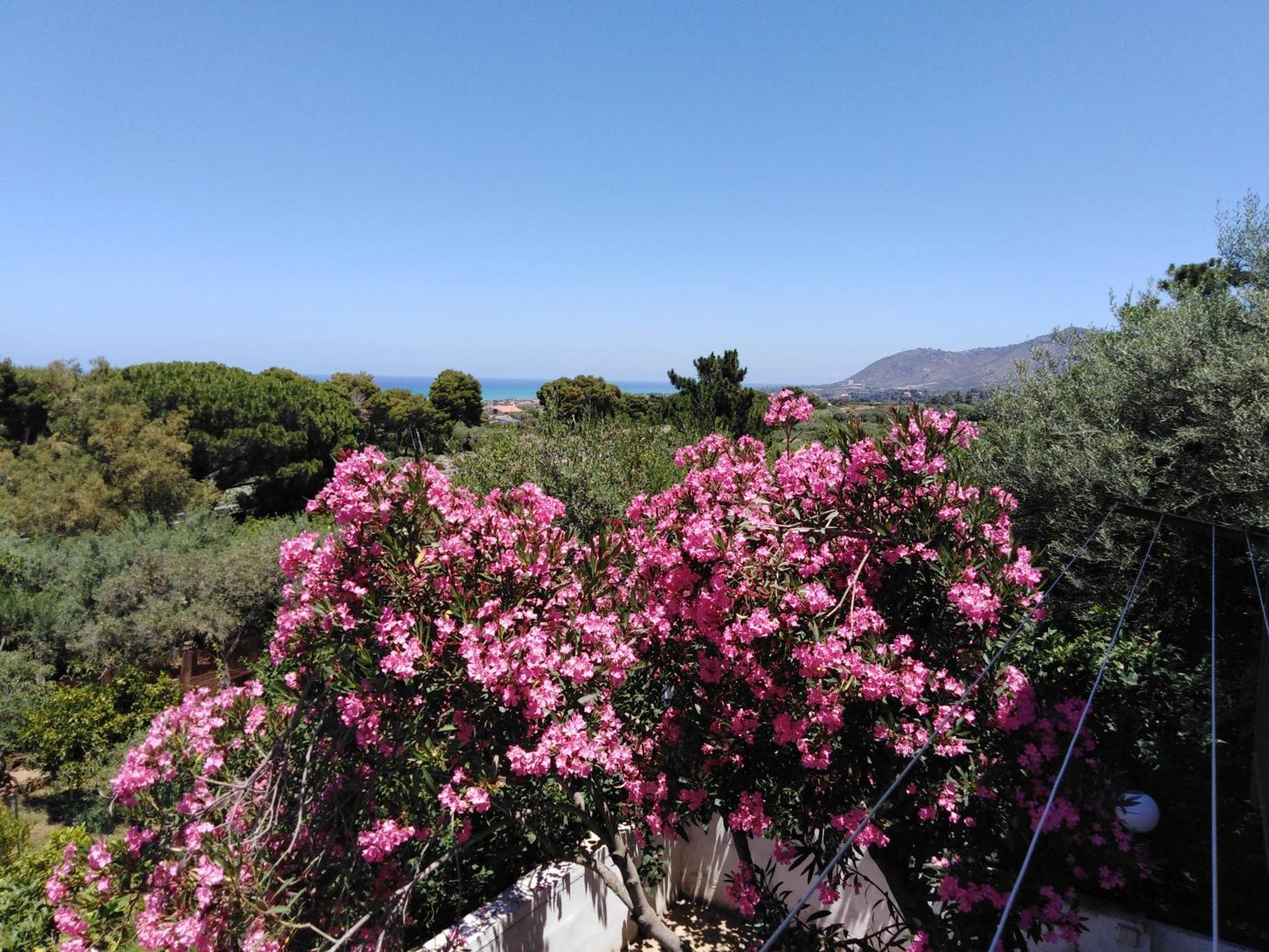 Holiday home Nuovo Aliru
